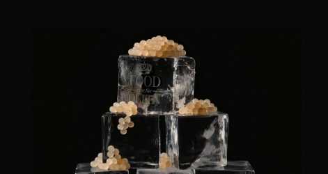 FSQ_Imagenes_web_1920x1080_12